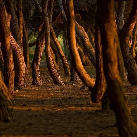 A Casa Di Lucio E Giuliana 4* Pineto