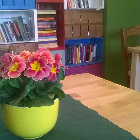 A Casa Di Lucio E Giuliana Pineto