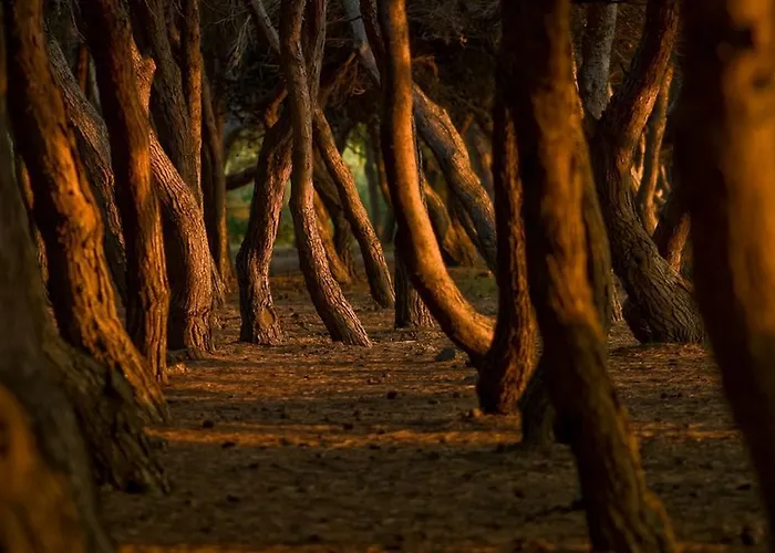 A Casa Di Lucio E Giuliana 4* Pineto